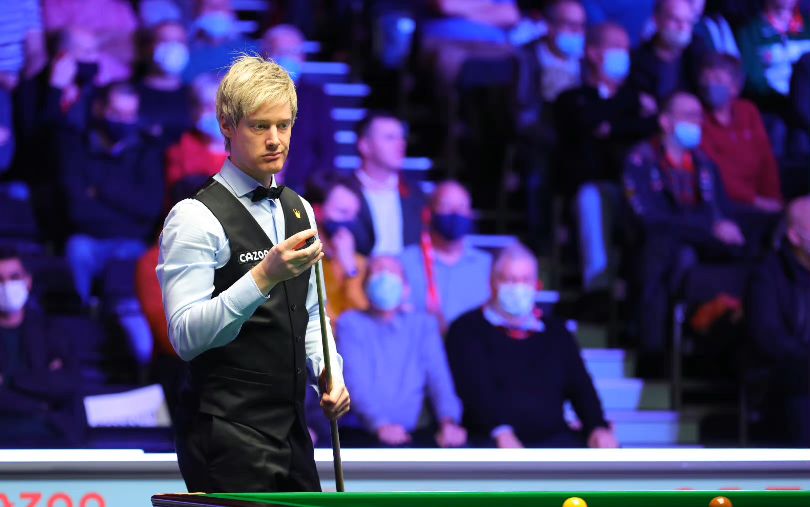 不仅是一条 不仅是一条