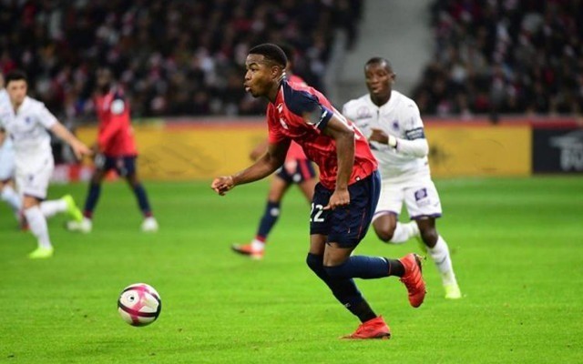 融入提示 融入提示