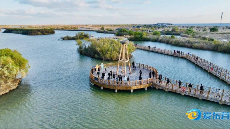 亚所强调 亚所强调